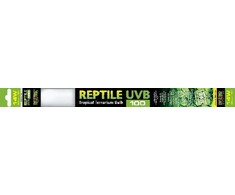 Exo Terra Świetlówka Reptile UVB100 T8 (UVB5.0) 14W, 38 cm