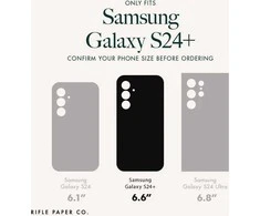 Rifle Paper Clear - Samsung Galaxy S24+ dėklas Petite Fleurs