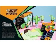 Rinkinys Intensity Paper Cactus BIC