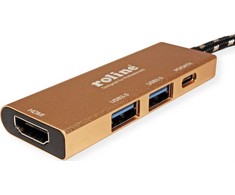 Šakotuvas „Roline Gold“ USB-C stotis / replikatorius (1119-12-02)