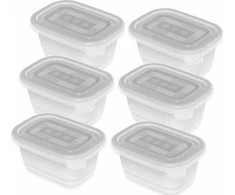 ROTHO Freeze - šaldiklis container - 6x250ml