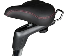 Flow Fitness DHT2500i Programuojamas dviratis