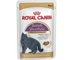 FBN Cat British Short Gravy 12x85 g