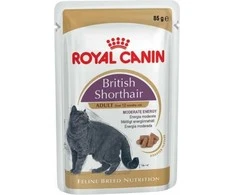 Royal Canin British Shorthair šlapias maistas katėms, 12 x 85 g
