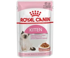 Royal Canin Kitten in Souce šlapias maistas katėms, 12 x 85 g
