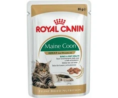 FBN Cat Maine Coon padažas 12x85 g