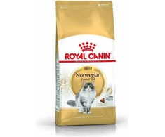 Royal Canin Norwegian Forest Cat 10kg