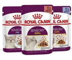 Royal Canin FHN Sensory Smell gravy kačių konservuotas pašaras, 85 g, maišelyje