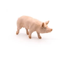Papo figūrėlė Kiaulė