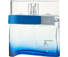 Salvatore Ferragamo F by Ferragamo Free Time EDT tualetinis vanduo vyrams, 100 ml