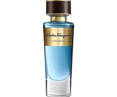 Salvatore Ferragamo E Pur Si Muove EDP parfumuotas vanduo unisex, 100 ml