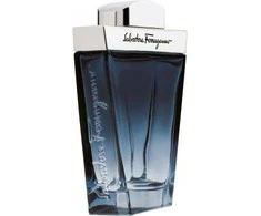 Salvatore Ferragamo Subtil Pour Homme EDT tualetinis vanduo vyrams, 100 ml