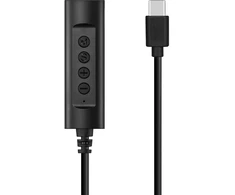 USB-C ausinių keitiklis Sandberg