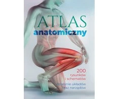 SBM anatominis atlasas