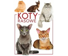 SBM Grynaveislės katės