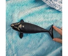 Schleich figūrėlė Pietinis tikrasis banginis