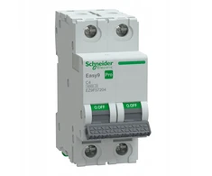 Schneider Electric Schneider automatinis jungiklis C 4A 2P Easy9 Pro EZ9F57204
