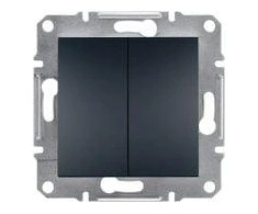 Schneider Electric Dviguba žvakidės jungtis be rėmo Schneider Asfora EPH0300371 antracitas