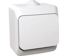„Schneider Electric“ „Cedar Plus Baltas“ laiptelių jungtis IP44 (WDE000560)