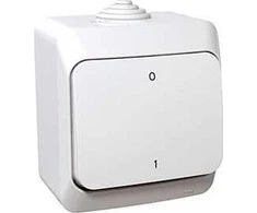 Schneider Electric „Cedar Plus“ ant paviršiaus montuojamas dvipolis jungiklis 16AX IP44 baltas WDE000520