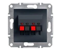 Schneider Electric Kištukinis lizdas su dvigubu garsiakalbiu, be antracito rėmelio (EPH5700171)
