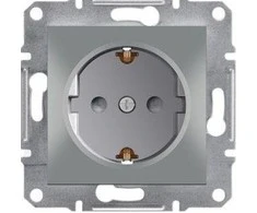 Schneider Electric Kištukinis lizdas su aliuminio apertūra (EPH2900261)