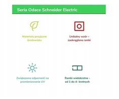 Schneider Electric GWN-140P GN.1-KR.Z/U SCHUKO Baltas PRIMA