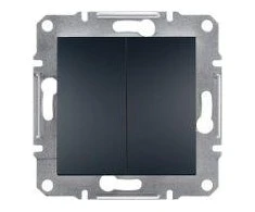 Schneider Electric Dvigubas asforo mygtukas be antracito rėmelio (EPH1100171)