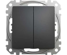 Schneider Electric Sedna dizainas, dvigubas mygtukas, juodas antracitas
