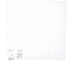 Schneider Electric Schneider Ventiliatoriaus filtras 223x223mm (NSYCAF223)