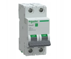 Schneider automatinis jungiklis C 16A 2P Easy9 Pro EZ9F57216