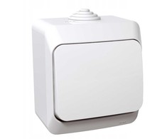 Mygtukinis jungiklis SCHNEIDER CEDAR PLUS, IP44