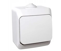 Mygtukinis jungiklis SCHNEIDER CEDAR PLUS, IP44