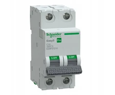Schneider Automatinis jungiklis C 10A 2P Easy9 Pro (EZ9F57210)