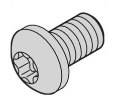 SCHROFF Varžtas su kryžminėmis galvutėmis, Torx, M2,5 x 6, 100 vnt.