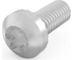 SCHROFF SCHROFF lizdo galvutės varžtas, Torx, M4 x 10, 100 vnt.