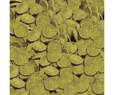 Sera sera Catfish Chips Nature 3,7kg/10L - maistas dla bocji i ryb sumokształtnych