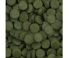 Sera Spirulina Tabs 100 ml (60 g) - augalinis pašaras tabletėse (SE-00940)