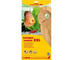Sera Migdolų lapai - Catappa Leaves XXL, 32 cm, 10 vnt/PAK