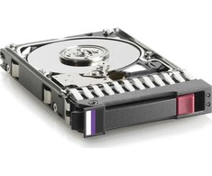 Hewlett Packard (HP) Serverio diskas HPE 300 GB 2,5 colio SAS-2 (6 Gb/s) (618518-001)
