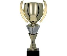 Auksinis ir sidabrinis metalinis puodelis