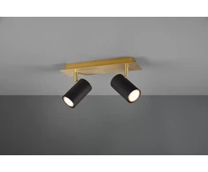 Lubinis šviestuvas Luminaire directing Trio MARLEY. 35 W. 2xGU10