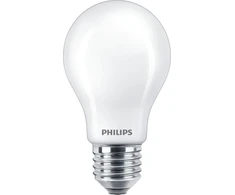 Signify Philips LED lempa 100W E27 dienos šviesos balta 1521lm matinė 1er P