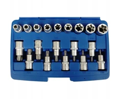 SILVER Sidabrinis Sidabrinis TORX antgalių rinkinys 19 vnt.