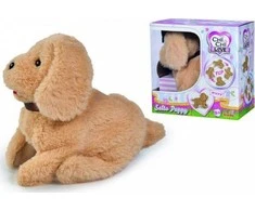Simba šuo Chi Chi Love Somersault šuniukas