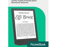 „PocketBook Verse Lite“ – vidurnakčio pilka, DACH versija