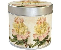 Skona Ting Fragrance žvakė 191 - peach