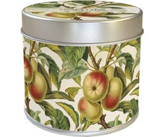 Skona Ting Scented candle 204 - obelis - obuolių kvapas