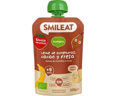 Vaisių putėsiai tūbelėje vaikams Migdolų kakavos braškių ekologiškas 9m+ 100G Smileat