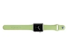 Snaige Siksniņa Snaige Apple silikono dirželis Apple Watch 42 mm Žalias TIW42MMSTGREE